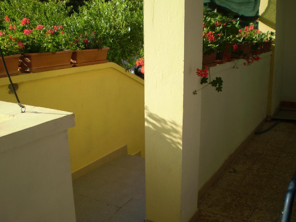 Apartments Kocijan Sukosan Bagian luar foto